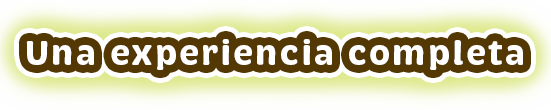 Una experiencia completa